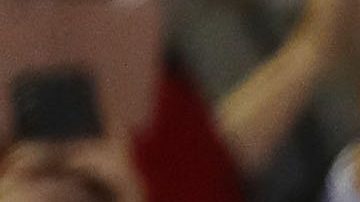 Los ambientalistas están decepcionados con el fallo