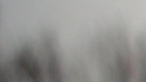 Se estima que los "TPSianos" aportan miles de millones de dólares a la economía del país.