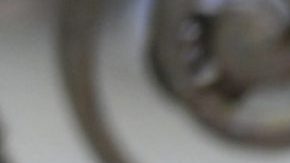 En la imagen la reina Letizia, su esposo el rey y la Infanta Elena.