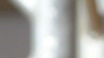 Pope Francis Visits Calabria