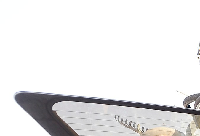 La decisión del pasado 5 de febrero revoca la ordenanza de habitación en vehículos en San Diego.