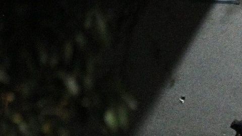 "El Mencho" es uno de los grandes objetivos de los gobiernos mexicano y estadounidense.