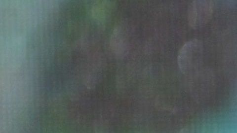 Beatriz Gutiérrez Müller.