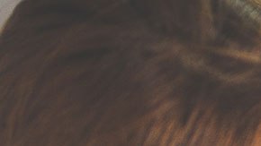 Hay muchas formas de ayudar a tu hijo para que se vaya metiendo al mundo laboral.