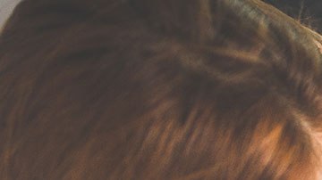 Hay muchas formas de ayudar a tu hijo para que se vaya metiendo al mundo laboral.