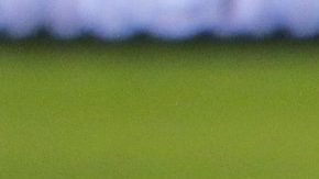 Cruz Azul volvió a perder en liga, ahora contra los Esmeraldas del León.