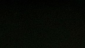 Miguel Herrera es actualmente el técnico del América