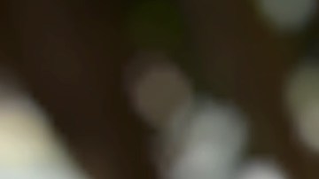 Rafael Hernández logró hacerse ciudadano estadounidense después de una larga batalla. (Araceli Martínez/La Opinión).