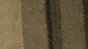 Activistas e inmigrantes realizaron un 'die-in' frente a la Alcaldía de Los Ángeles en protesta contra el muro propuesto por el presidente Trump en la frontera entre México y Estados. (Araceli Martinez Ortega)