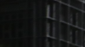 José Antonio Álvarez lleva una caja llena de aguacates en una distribuidora de Los Ángeles. / foto: Jorge Luis Macías.