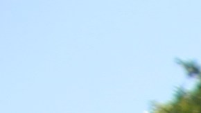 El Sheriff Alex Villanueva junto a activistas proinmigrantes. . (Jorge Luis Macías, Especial para La Opinión)