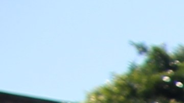 El Sheriff Alex Villanueva junto a activistas proinmigrantes. . (Jorge Luis Macías, Especial para La Opinión)