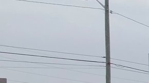 Comenzó como un misterio en las redes sociales, pero resultó ser una realidad