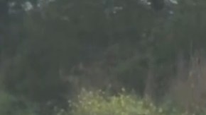 El auto quedó atrapado durante una inundación repentina.