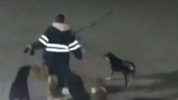 El ataque fue captado por cámaras de videovigilancia.