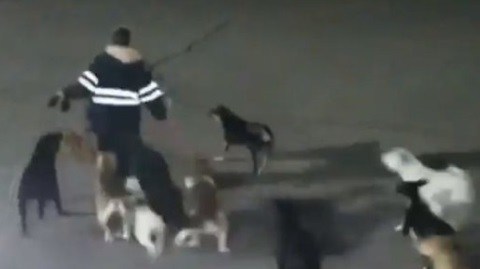 El ataque fue captado por cámaras de videovigilancia.