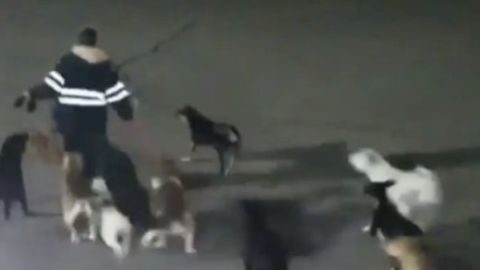 El ataque fue captado por cámaras de videovigilancia.