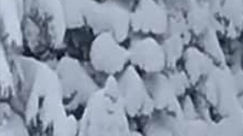 La aventura blanca en medio de la nieve que los jóvenes buscaban, se convirtió en una pesadilla de cinco días, cuando el vehículo se atascó en medio de la nieve.