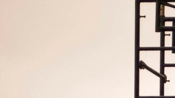 La carrera/caminata anual de EmBrase espera contar con unos 400 corredores este año. (Suministrada)