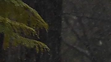 Algunos vehículos transitan una calle inundada en Los Angeles, California el 2 de febrero del 2019. Las autoridades han advertido evitar transitar zonas donde se presentan inundaciones repentinas por ser altamente peligrosas.