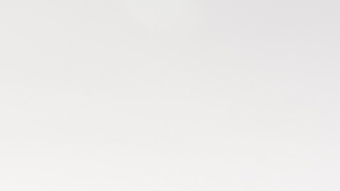 Loyda y Laura, dos inmigrantes mexicanas se casaron en Santa Mónica en el 2018. (Fotos cortesía Sergio Jiménez).