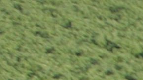 Maria Marin, presidenta de Unlimited Recycling con su primer camión./Cortesía