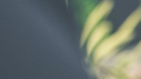 Nunca cedas a compartir datos personales o dinero.