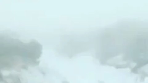 La División de Parques Estatales de DLNR informó que, por primera vez, la nieve había caído en un parque estatal de Hawai.