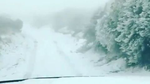 La División de Parques Estatales de DLNR informó que, por primera vez, la nieve había caído en un parque estatal de Hawai.