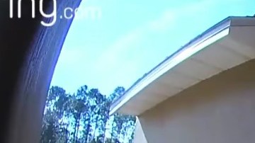 Cámara de seguridad capta imágenes de los perros salvando a su dueña.