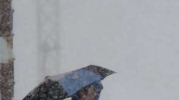 Foto ilustrativa de una tormenta de nieve.