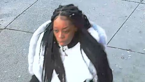 Imagen de la sospechosa divulgada por el NYPD.