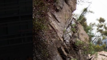 La ruta estatal 150 está cerrada desde Reeves Road en Ojai hasta el sur de Dennison Park, debido a un deslizamiento de grandes rocas.