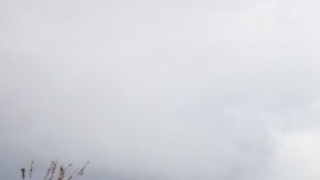 Algunas zonas de la ruta estatal 33 en Reyes Creek, en el norte del condado de Ventura, se encuentran cerradas desde el sábado 2 de febrero.