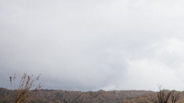 Algunas zonas de la ruta estatal 33 en Reyes Creek, en el norte del condado de Ventura, se encuentran cerradas desde el sábado 2 de febrero.