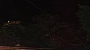 Según las autoridades del condado de Marin el accidente se produjo cuando una casa se deslizó desde Sausalito Blvd hacia una casa en Crescent Ave.