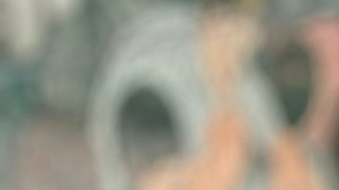 Sheila Salinas, beneficiaria de la Acción Diferida para los Llegados en la Infancia (DACA) aboga porque se restablezca los permisos para viajar fuera del país (Advance Parole). (Araceli Martínez/La Opinión).