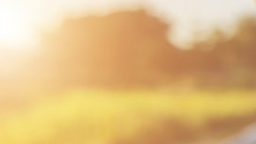 tendinitis rotuliana