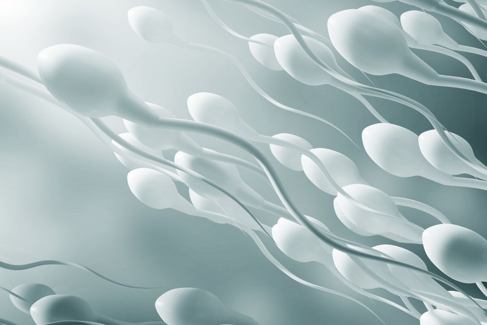 Un aspecto de la calidad del semen es la cantidad de espermatozoides.