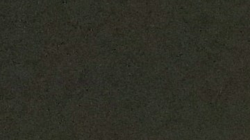 shutterstock_1196201761