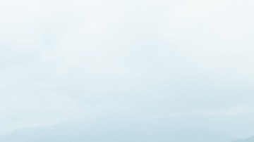 Infiniti QX80 Limited