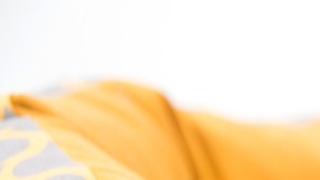 Las mascotas son excelentes compañeros.