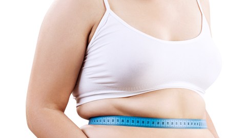 metabolismo