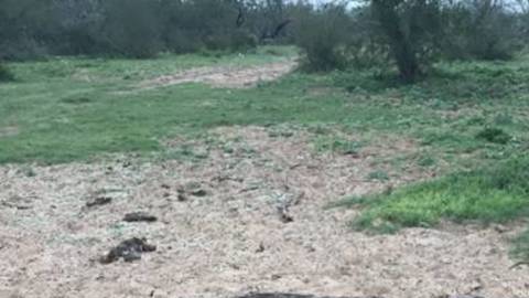 La señal 'SOS' que advirtió a la Patrulla Fronteriza.