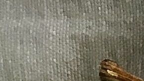 Recetas fáciles para cenar ligero