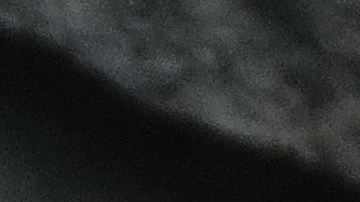 Oficiales de la Unidad para atender la Crueldad contra Animales del Departamento de Policía de Houston tranquilizaron al animal antes de comenzar las operaciones de traslado.