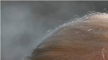 El presidente, Donald Trump, calificó el proyecto del tren de alta velocidad como "fallido"