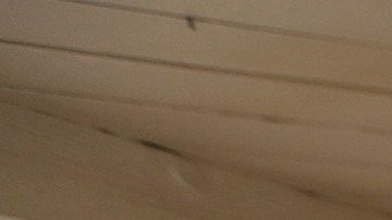 Julián Castro saluda a los estudiantes de Bell Gardens. (Aurelia Ventura/La Opinion)