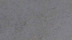 Las rentas en Inglewood han aumentado descontraladamente .(Aurelia Ventura/La Opinion)