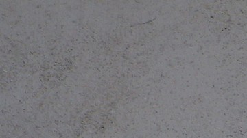 Las rentas en Inglewood han aumentado descontraladamente .(Aurelia Ventura/La Opinion)